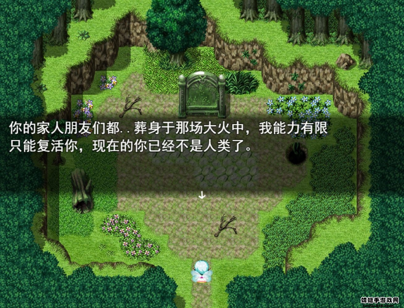 雨林精灵游戏