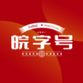 皖字号信息查询app软件