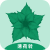 薄荷转提现版
