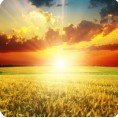 阳光高考网官方网登录2022招生简章章程最新版