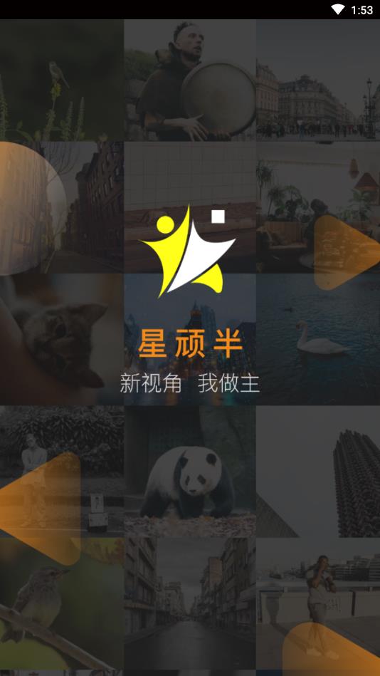 星顽半官方版