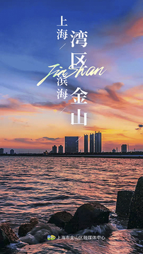 上海金山app