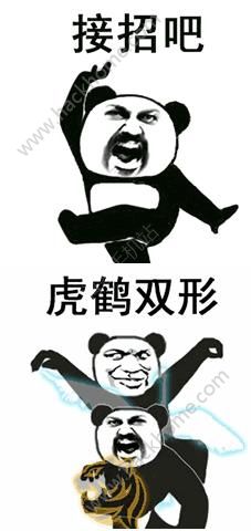 抖音上很火的过两招功夫表情包