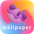 wallpaper壁纸大全app最新版