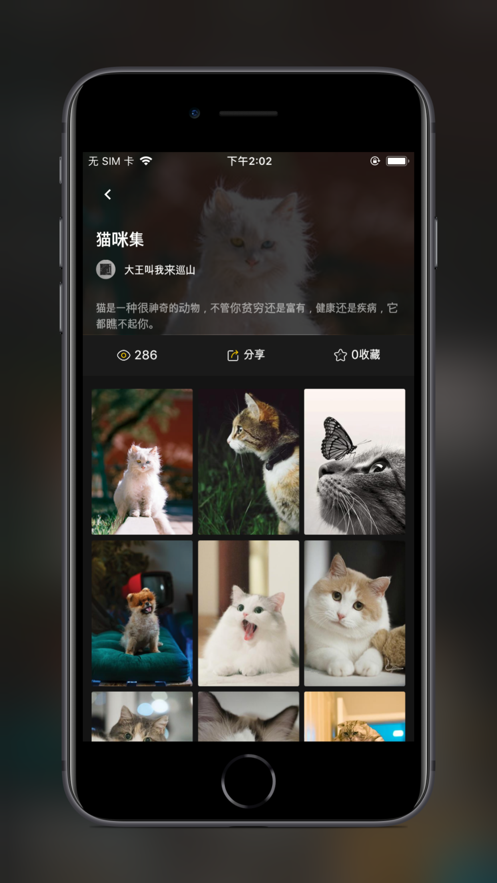 纸塘壁纸app软件官方