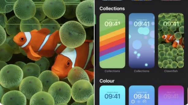 苹果iOS16 beta3小丑鱼壁纸高清