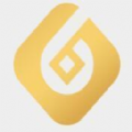 金块链黄金币gbt  6.0.6