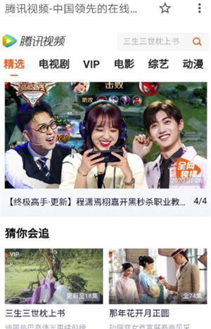VIP解析工具