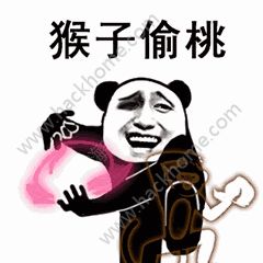 抖音功夫斗图表情包gif大全分享