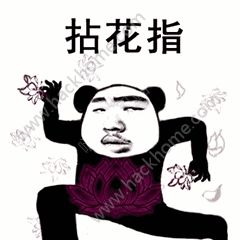 抖音功夫斗图表情包gif大全分享