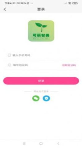 可丽智美