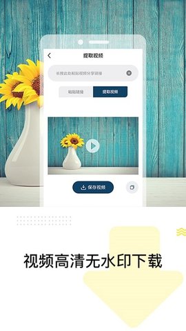 热门视频去水印