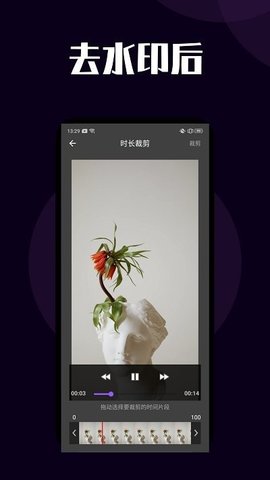 短视频去水印app