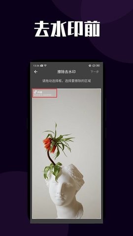 短视频去水印app