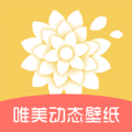 唯美动态壁纸app高清版