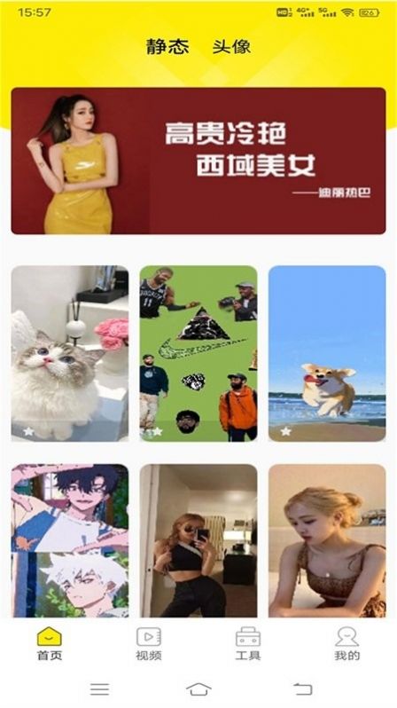 白狐视频壁纸app官方