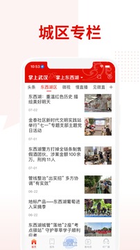 掌上武汉app