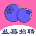 蓝莓招聘app官方版