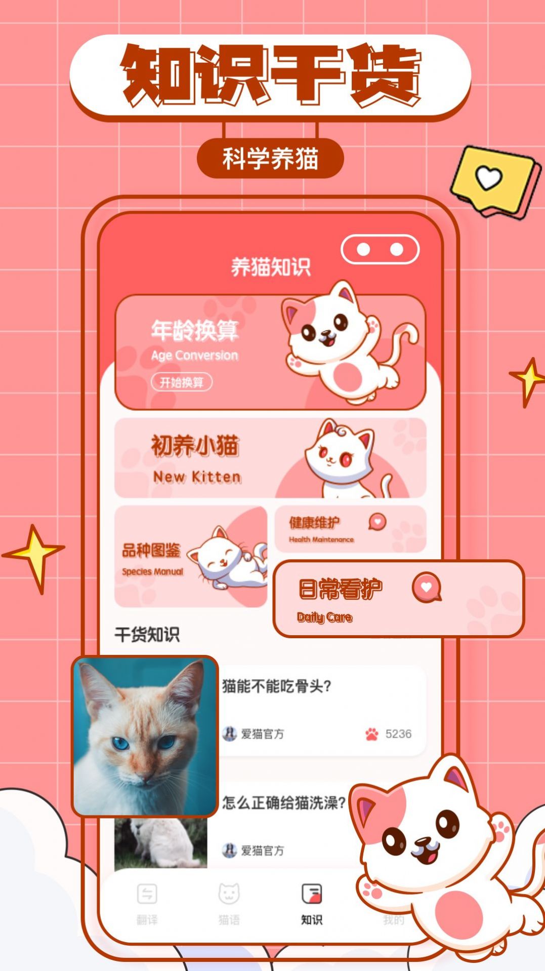 猫咪翻译物语app最新版
