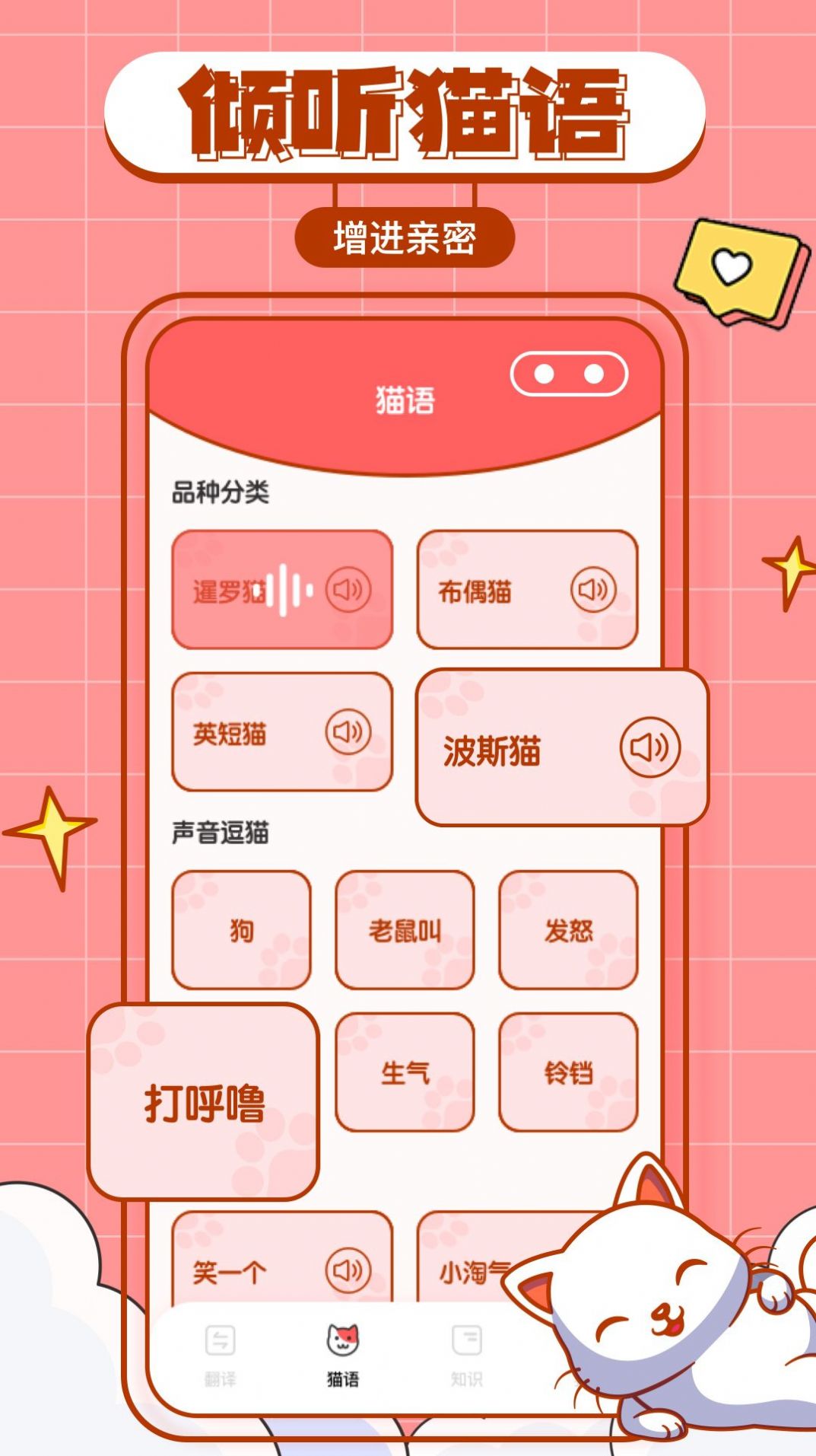 猫咪翻译物语app最新版
