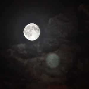 四川森防app客户端注册