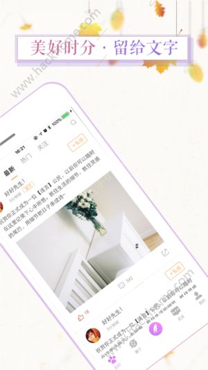 浅言app官方版软件
