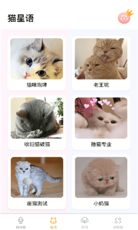 一起学猫叫