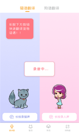一起学猫叫