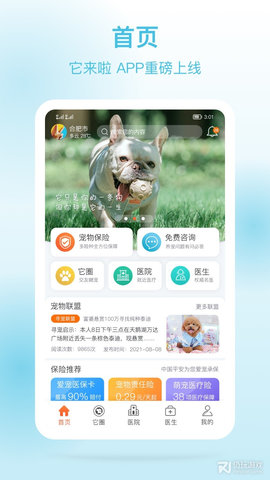 宠物它来啦