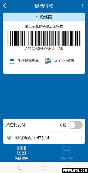 行动支付