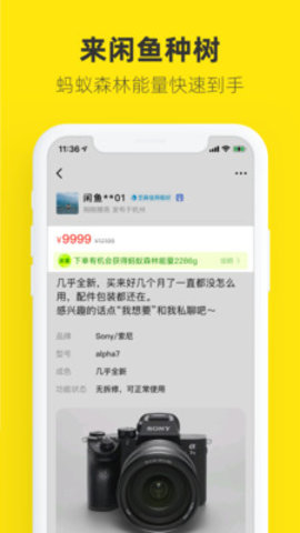 咸鱼网app