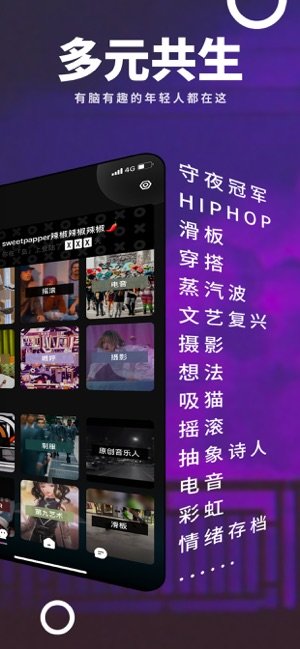岛app