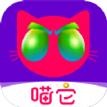 喵它app手机版