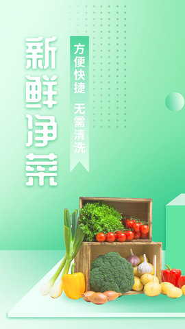 淘蓓蓓