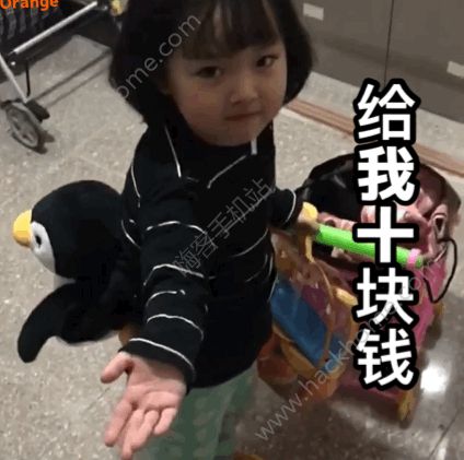 抖音权律二我要离家出走了给我十块钱表情包大全