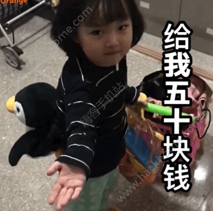抖音权律二我要离家出走了给我十块钱表情包大全
