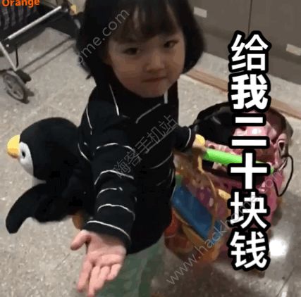 抖音权律二我要离家出走了给我十块钱表情包大全