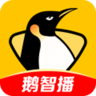 企鹅直播app