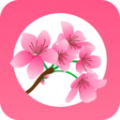 可话app内测邀请码官网官方版