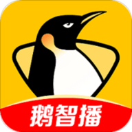 企鹅体育直播app