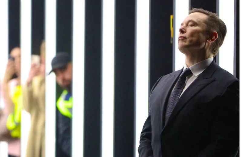 Elon Musk、Twitter 和像 DAO 一样运行事物？