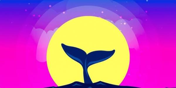 比特币最新消息 2023年BTC价格上涨的理由