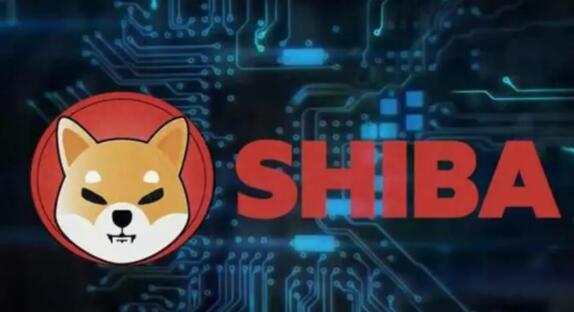 中币骗局最新消息 - 中比特币全吗