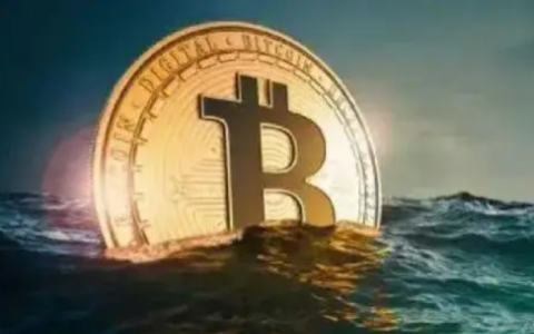 在什么app买卖比特币？中国最早比特币交易平台-第4张图片-欧意下载