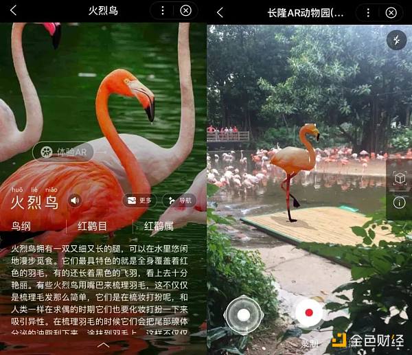 没有动物的元宇宙 和沙漠有什么区别？-第6张图片-欧意下载
