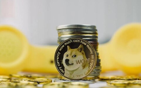 狗狗币交易平台 买狗狗去哪个平台靠谱(盘点)-第1张图片-欧意下载