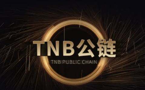 雷达币今天最新消息(雷达币最新消息搜狐网)-第1张图片-欧意下载
