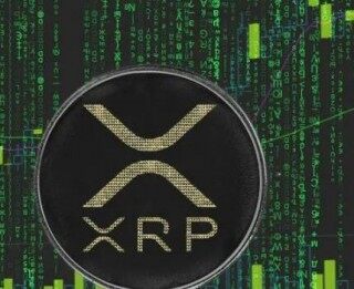ok官网-∏币最新消息(币圈最新消息)