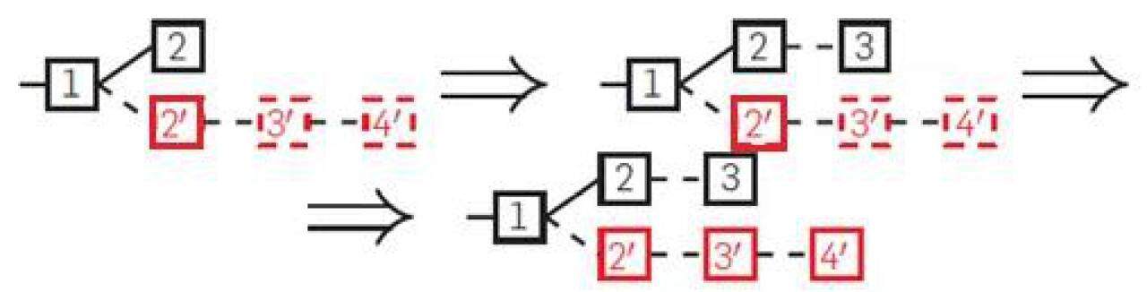 盘点常见的9种区块链攻击方式-第3张图片-binance下载