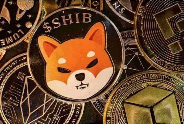 shib能涨到一毛钱吗 2022shib价格预测-第1张图片-binance下载